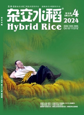 杂交水稻封面